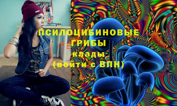 герыч Алзамай