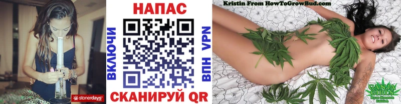 Марихуана сатива Купить где Ростов-на-Дону